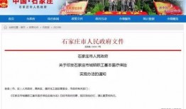 国际庄爆料视频,一窥城市背后的真实故事