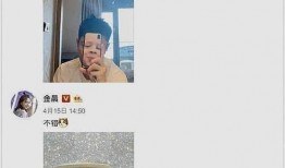 爆料贾乃亮恋情视频全集,甜蜜互动引热议，揭秘全新恋情细节